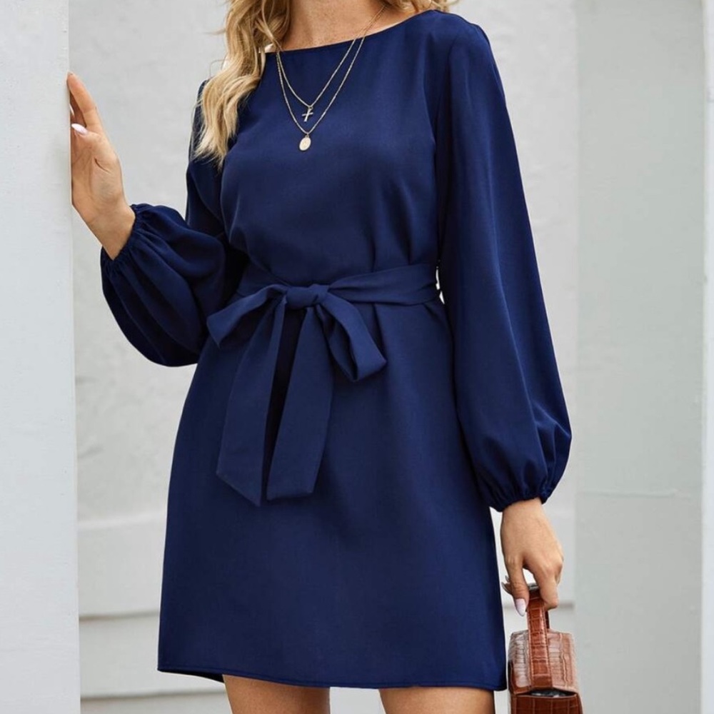 Blue long lantern sleeve  belted dress - Picture 15 of 16